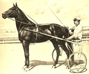 danpatch300